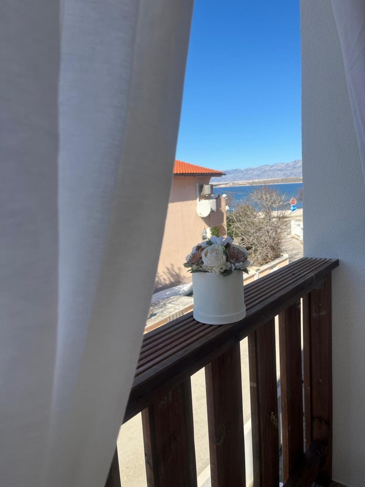 Sinisa Apartman Vir Bagian luar foto