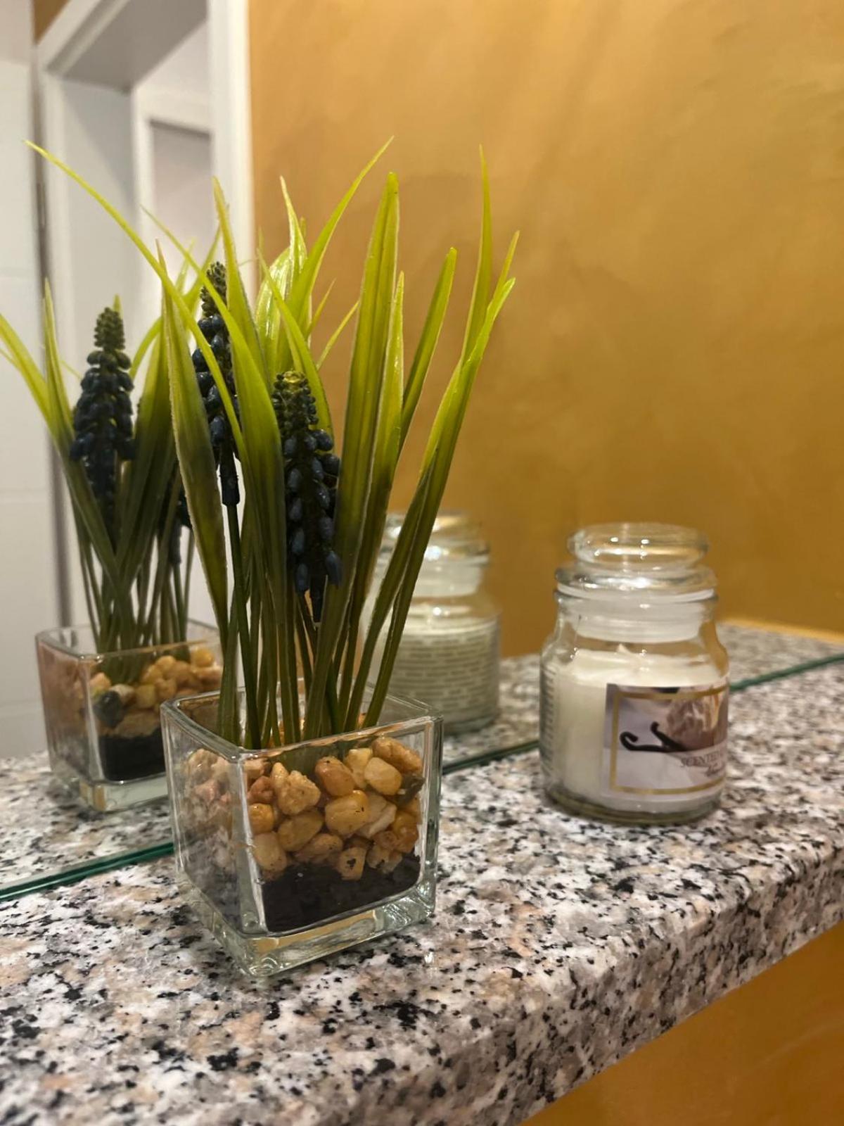 Sinisa Apartman Vir Bagian luar foto